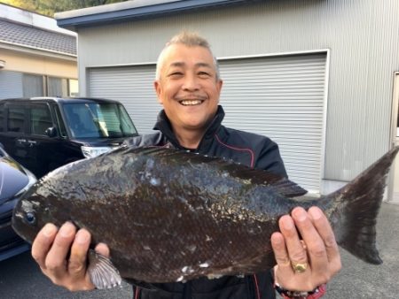 鵜来島家本渡船 釣果