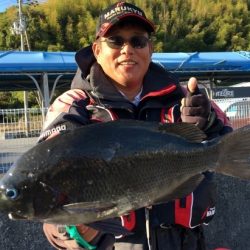 鵜来島家本渡船 釣果