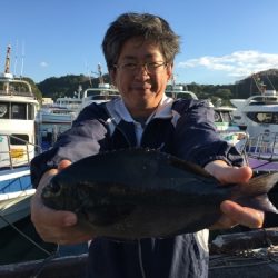 鵜来島家本渡船 釣果