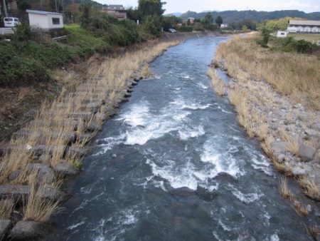 狩野川（狩野川漁業協同組合） 釣果