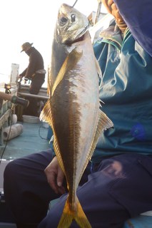 松福丸 釣果