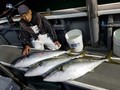 里輝丸 釣果