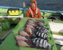 久里浜黒川本家 釣果