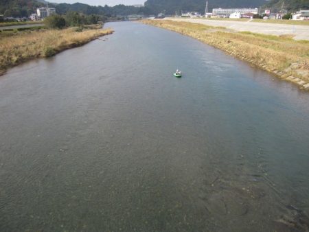 狩野川（狩野川漁業協同組合） 釣果