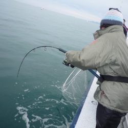 浅間丸 釣果