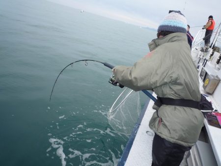 浅間丸 釣果