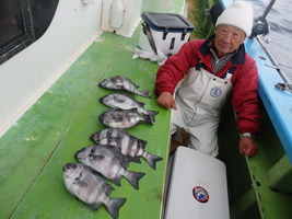 久里浜黒川本家 釣果