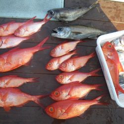 小海途 釣果