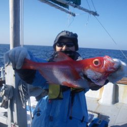 小海途 釣果