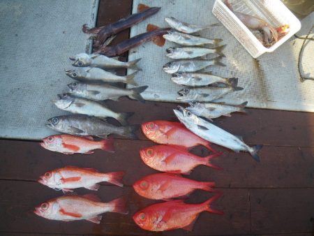 小海途 釣果