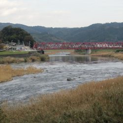 狩野川（狩野川漁業協同組合） 釣果