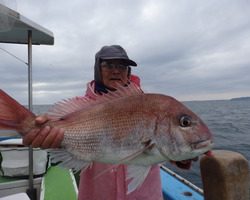 久里浜黒川本家 釣果