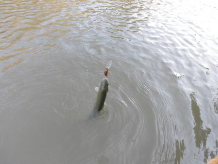 OLAHO　FISHING SPOT 釣果