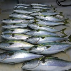 ミタチ丸 釣果