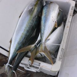 宝生丸 釣果