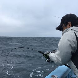 松鶴丸 釣果