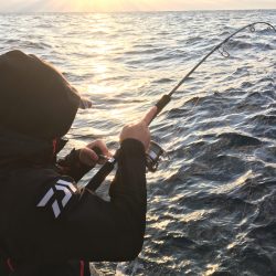 松鶴丸 釣果