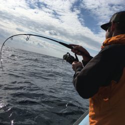 松鶴丸 釣果