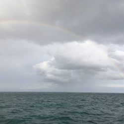 松鶴丸 釣果