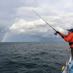 松鶴丸 釣果