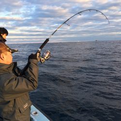 松鶴丸 釣果