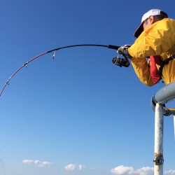 松鶴丸 釣果