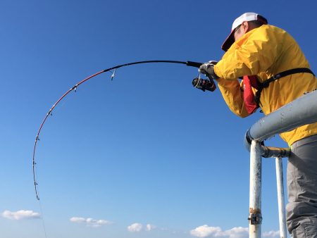 松鶴丸 釣果