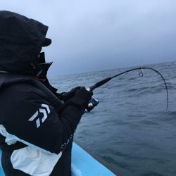 松鶴丸 釣果