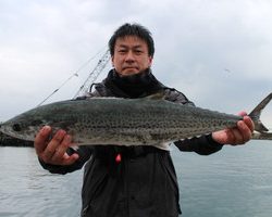 魚英 釣果