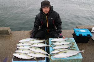 魚英 釣果