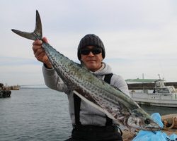 魚英 釣果