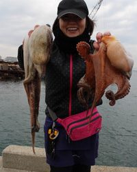 魚英 釣果