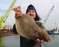 魚英 釣果