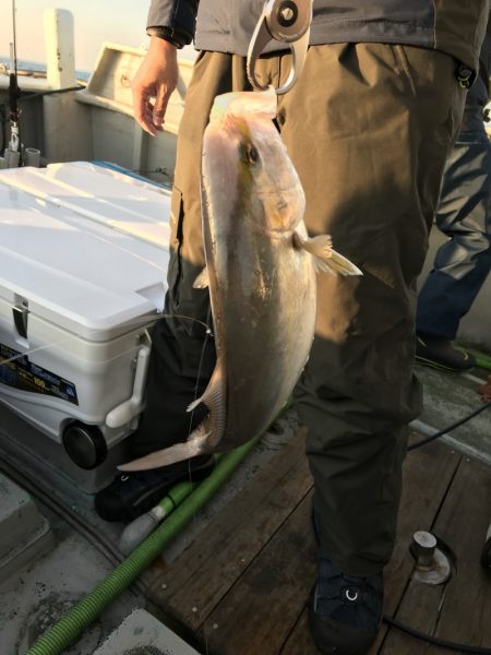 たいし丸 釣果