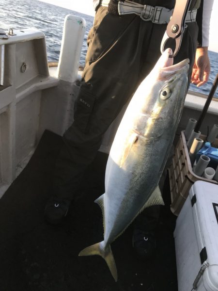 たいし丸 釣果