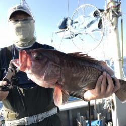 たいし丸 釣果