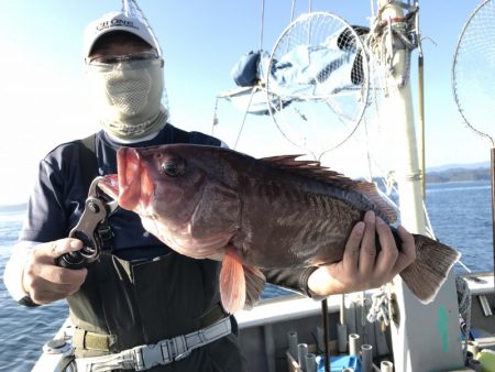 たいし丸 釣果