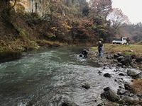 秩父フライフィールド 釣果