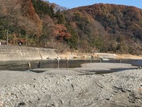 秩父フライフィールド 釣果