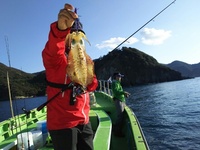 なごみ船 釣果