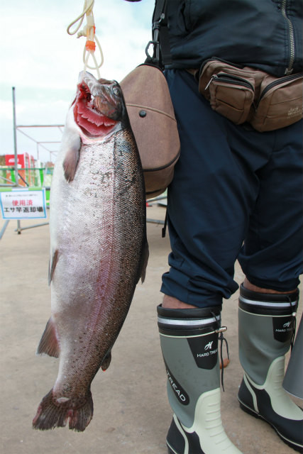 としまえんフィッシングエリア 釣果