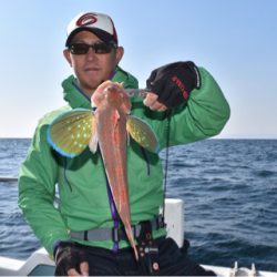 渡船屋たにぐち 釣果