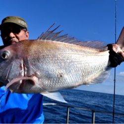 渡船屋たにぐち 釣果