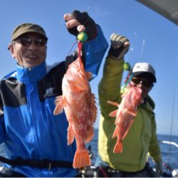 渡船屋たにぐち 釣果