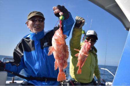 渡船屋たにぐち 釣果