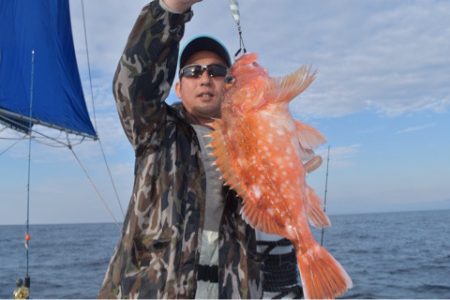 渡船屋たにぐち 釣果