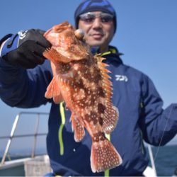 渡船屋たにぐち 釣果