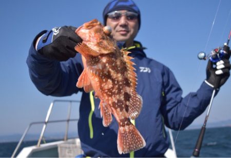 渡船屋たにぐち 釣果