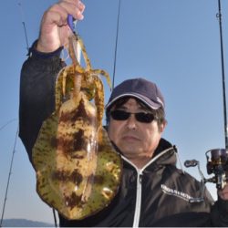 渡船屋たにぐち 釣果