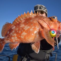 渡船屋たにぐち 釣果